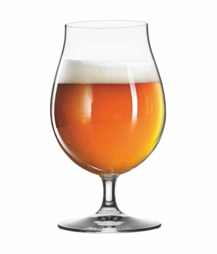 Tulip Beer Glass SET 6